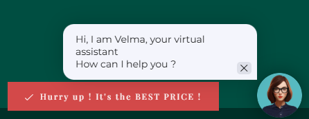 Velma - העוזרת הווירטואלית המושלמת להגדלת הזמנות ישירות באתר המלון שלך